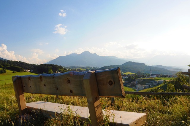 大鲨鱼力挺