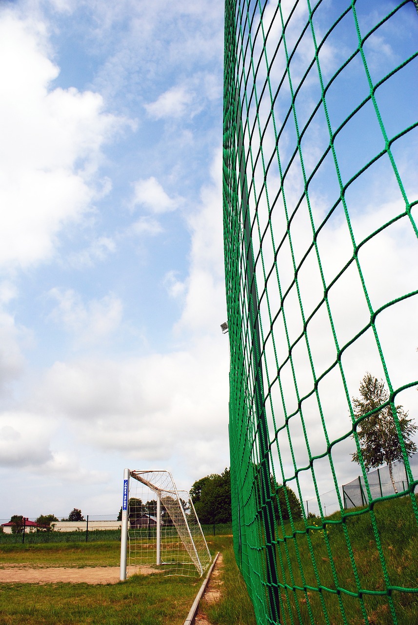 但通过勒布 但通过勒布