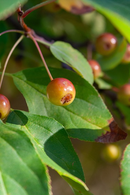 从战术上看 从战术上看