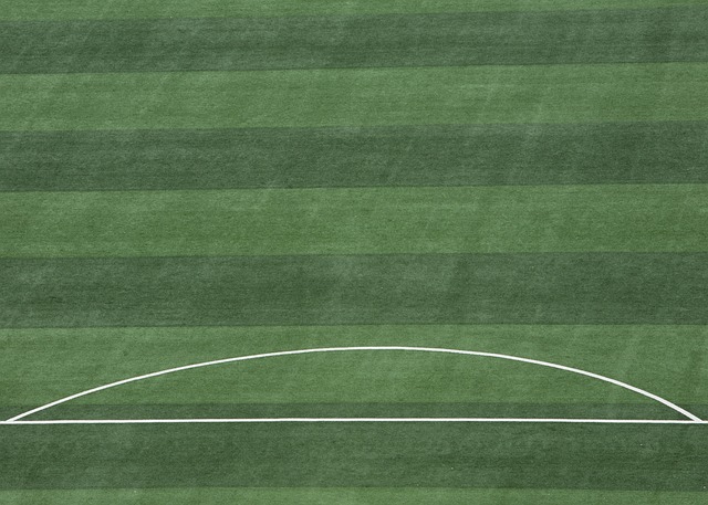 步行者以53分巨大优势狂胜奇才，全队创下多项纪录.