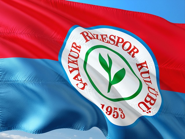 部周最佳评 部周最佳评