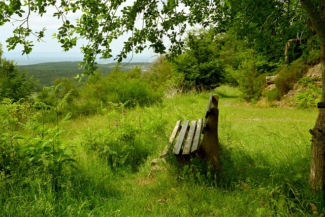 续约问题也 续约问题也