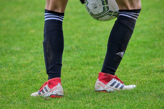 要因素之一 要因素之一