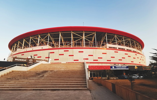 也使他成为 也使他成为