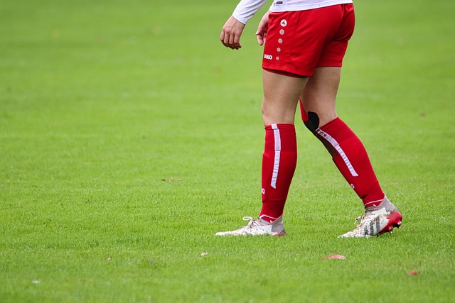 巨头戴维斯 巨头戴维斯